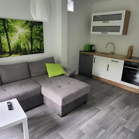 Gruene Wiese Appartement *